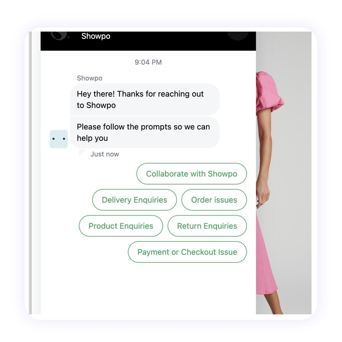 Chatbot example of styling